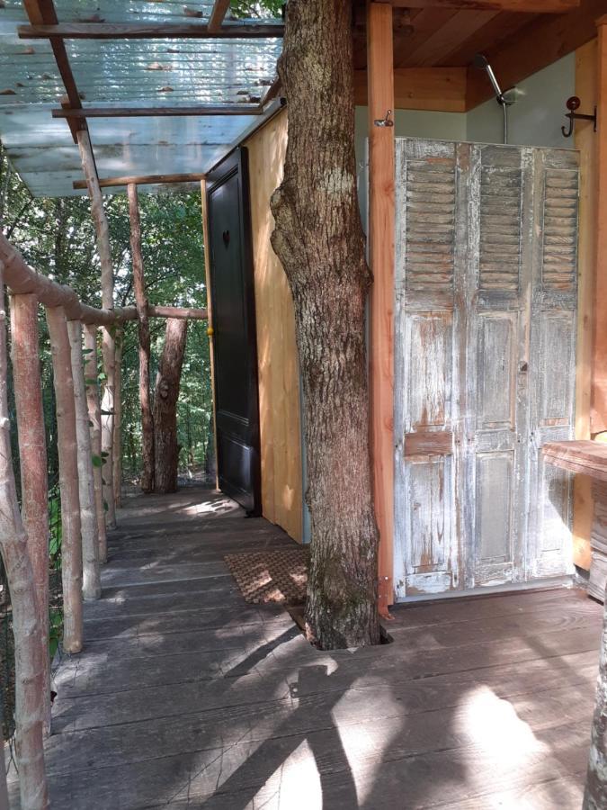 La Cabane De L'Oiseau Couze-et-Saint-Front Εξωτερικό φωτογραφία