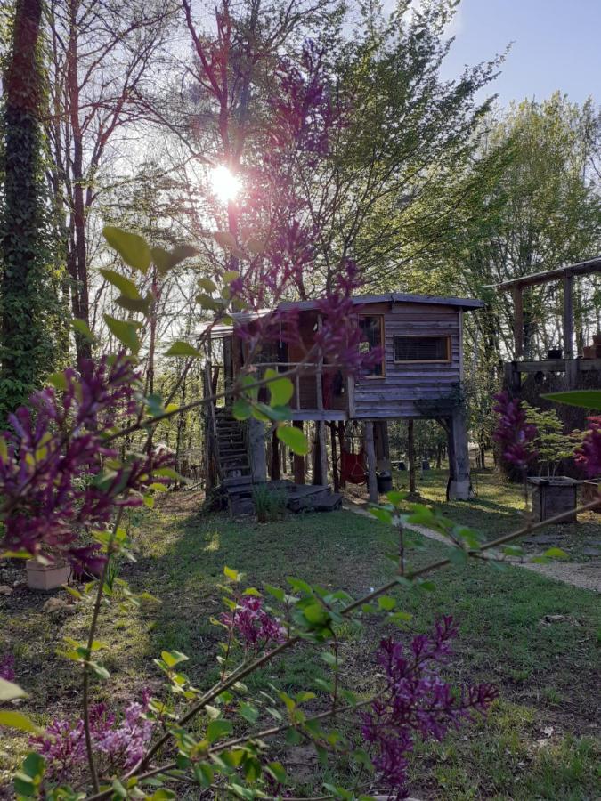 La Cabane De L'Oiseau Couze-et-Saint-Front Εξωτερικό φωτογραφία