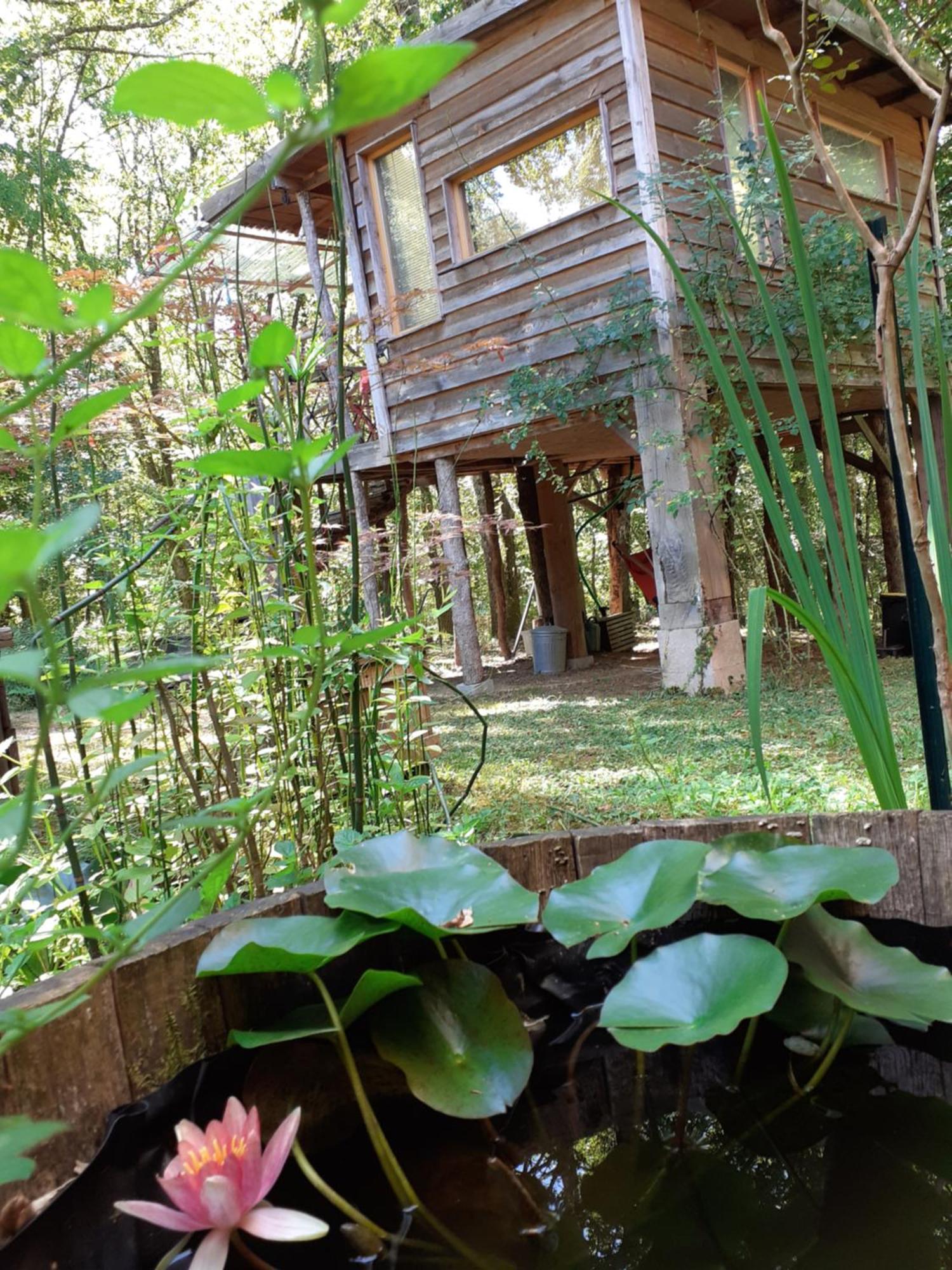 La Cabane De L'Oiseau Couze-et-Saint-Front Εξωτερικό φωτογραφία