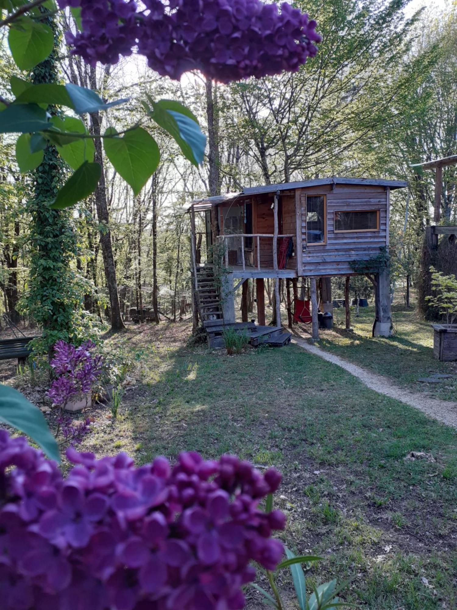 La Cabane De L'Oiseau Couze-et-Saint-Front Εξωτερικό φωτογραφία